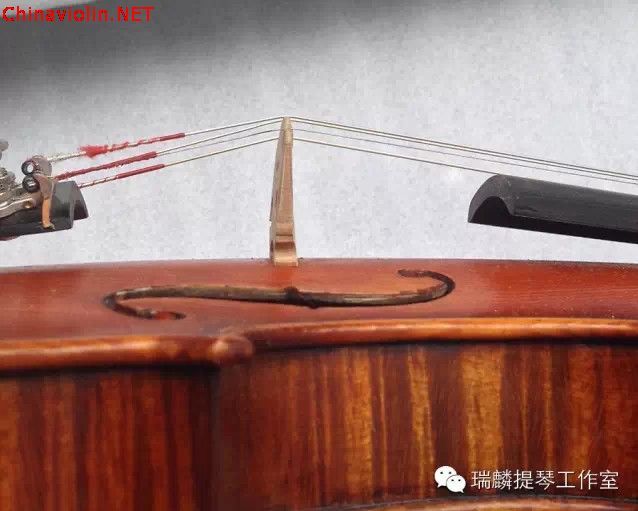 提琴保养之琴码篇
