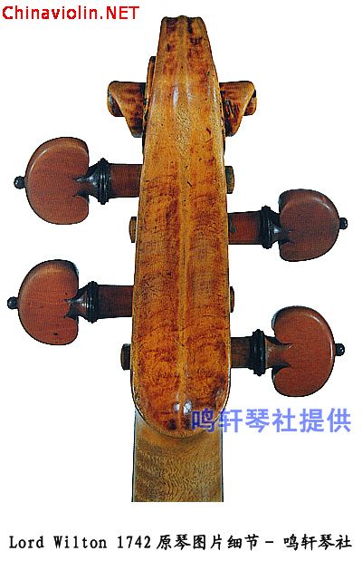 琴头背面---1.jpg