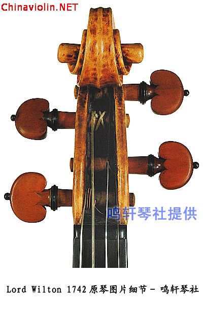 琴头正面---1.jpg