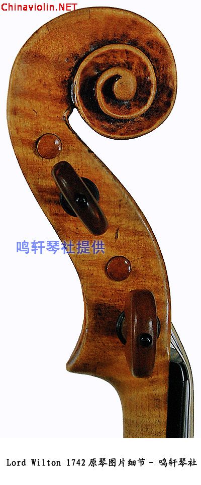 琴头侧面2----1.jpg