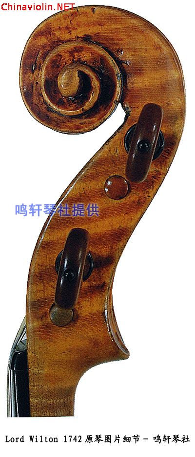 琴头侧面---1.jpg