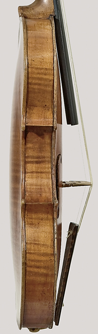 3362rogeriviolinbasssidebodylg.jpg