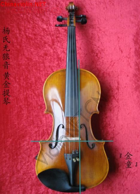 检测到杨氏无狼音黄金提琴音柱的位置_副本.jpg