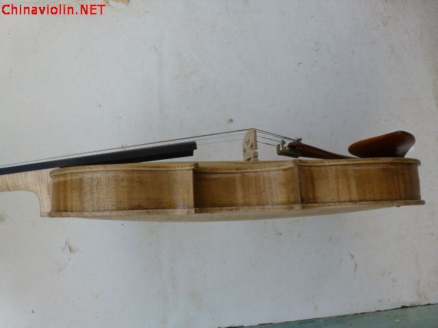 p1000646.jpg