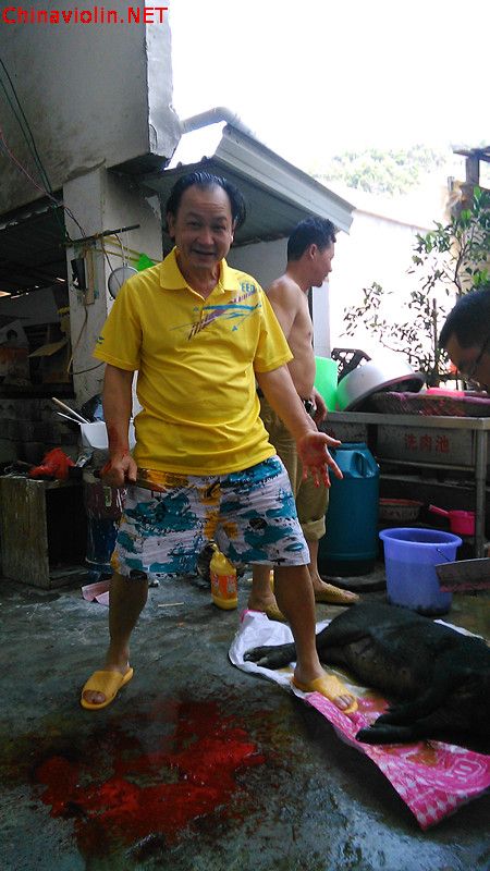 拉小提琴的手拿来杀猪