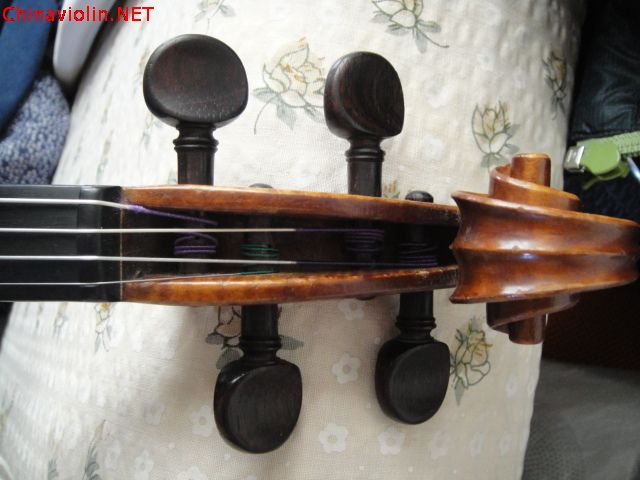 dsc02378.jpg