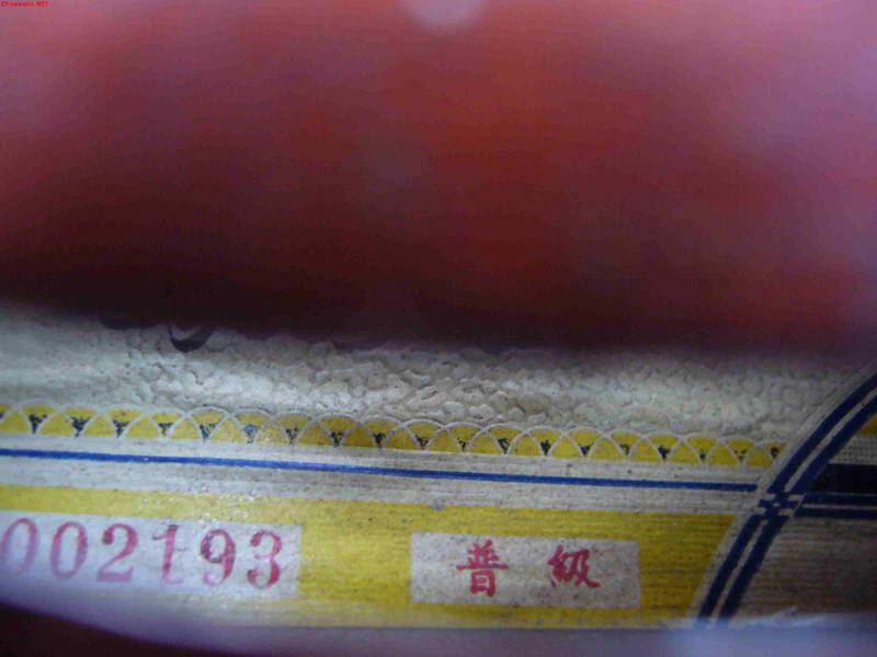 p1050496.jpg