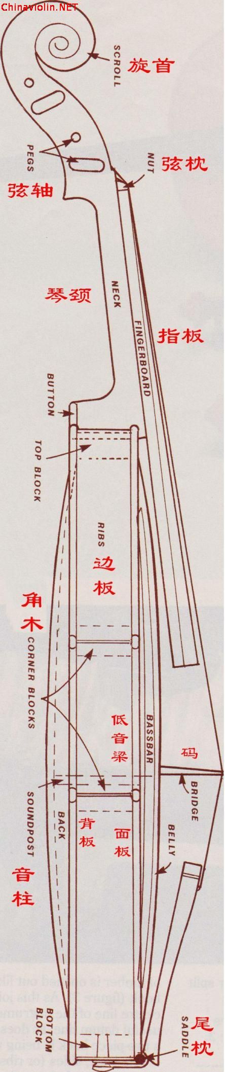 你自己动手制作的第一把琴——转自国外网站