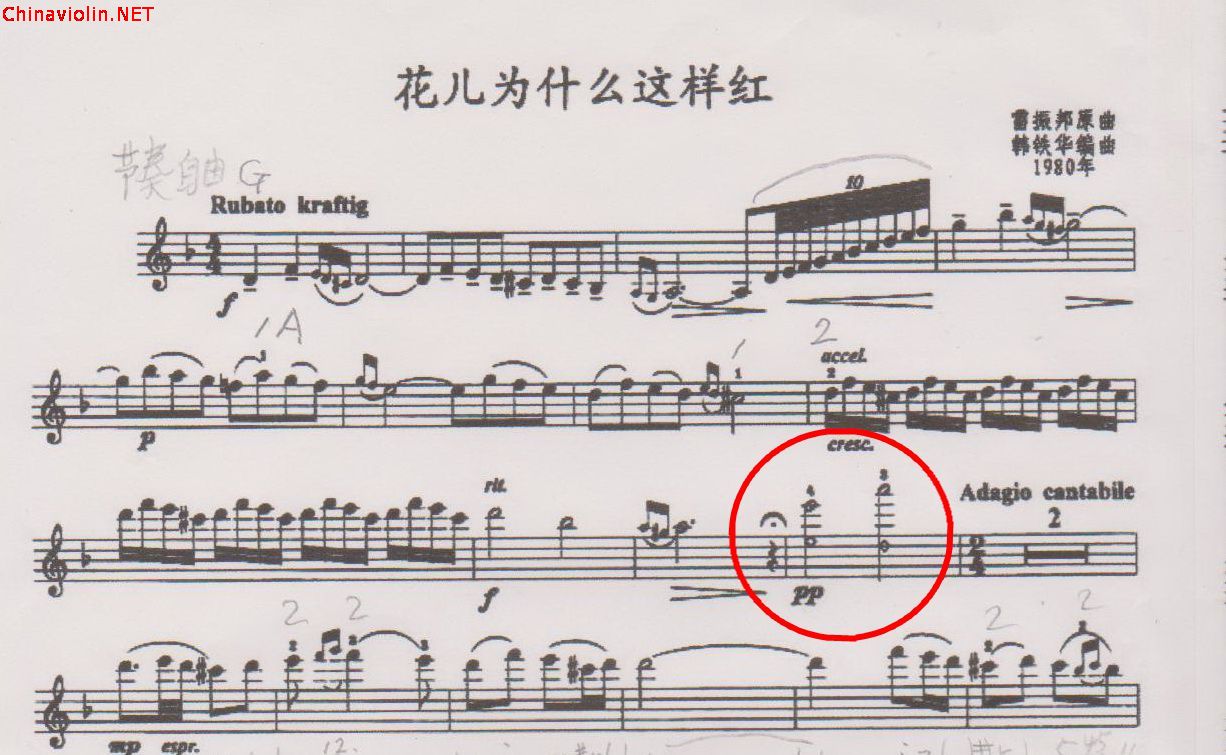 花儿为什么这样红的两个泛音怎么演奏_副本.jpg