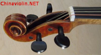 xianzhengt.jpg