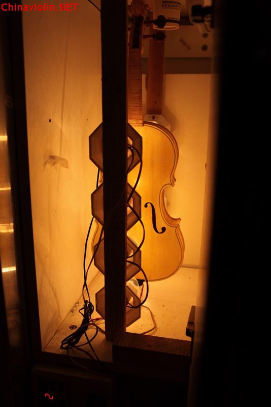 自制烤箱烤白胚琴直播