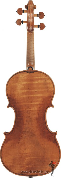 Tononi-Carlo_c1715_back.jpg