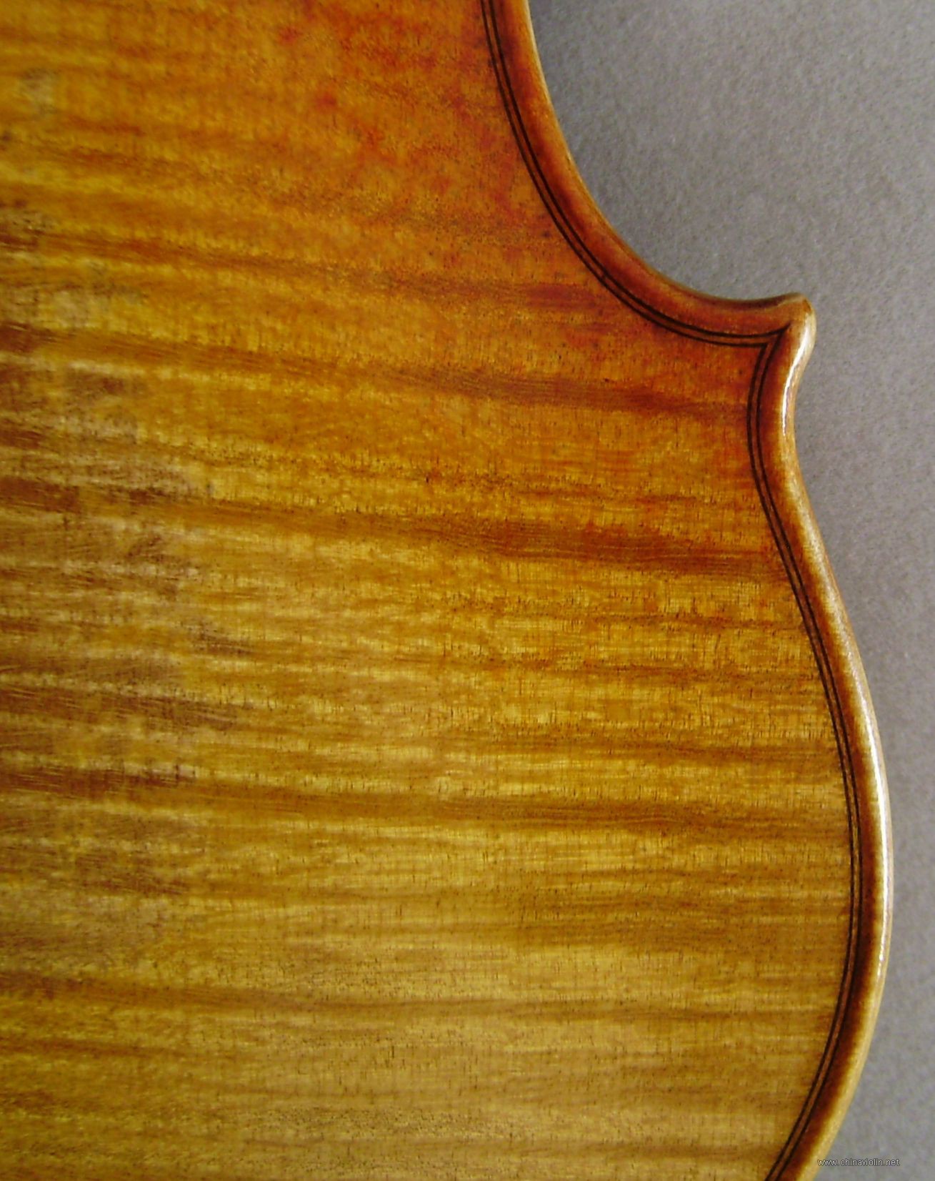P8300020.JPG