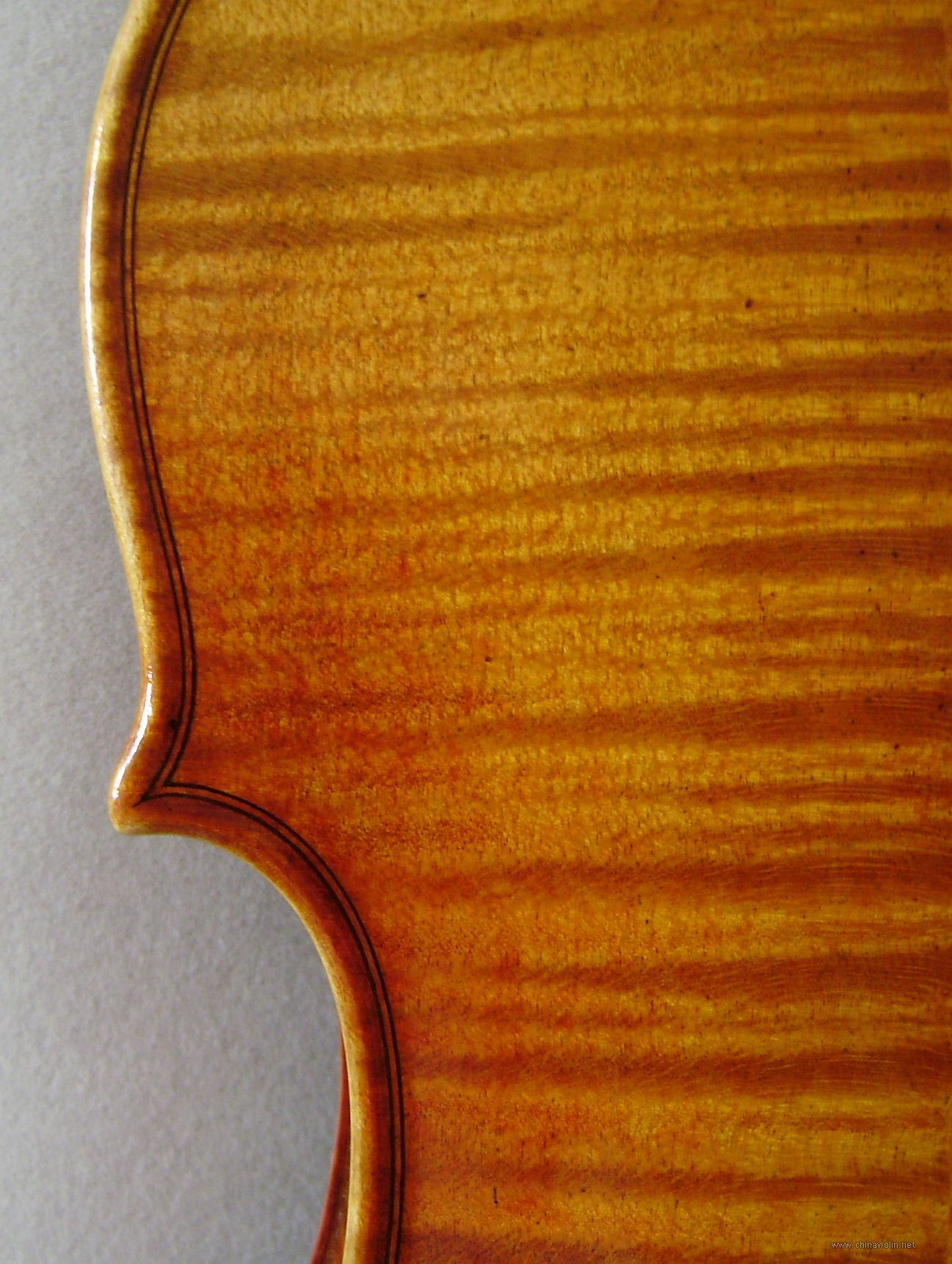P8300021.JPG