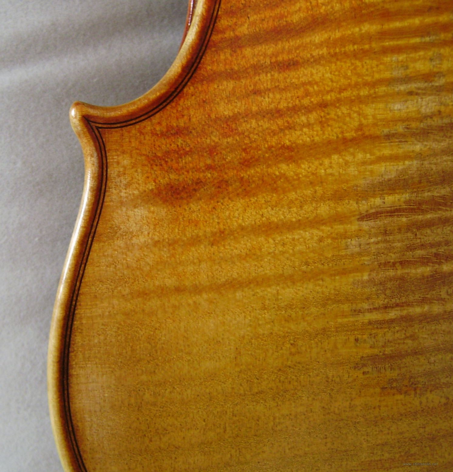 P8300022.JPG