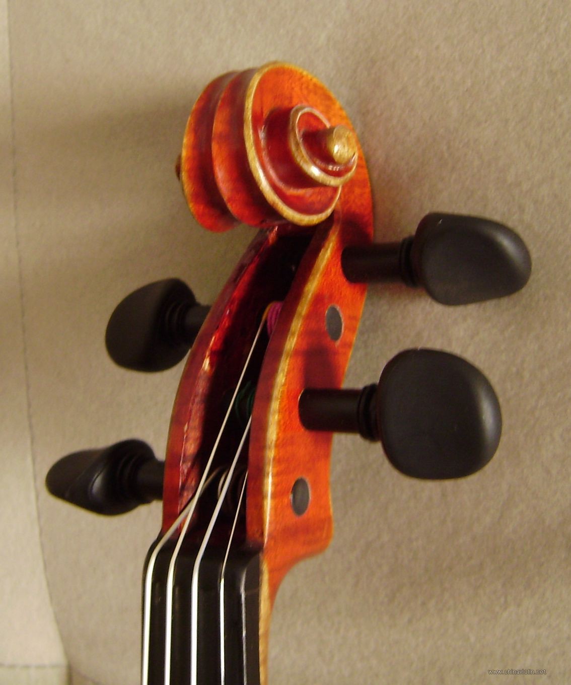 P1010021.JPG