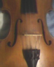 IMG0151A.jpg