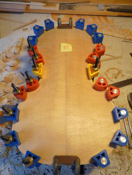 31.jpg