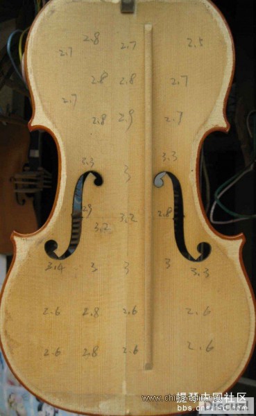 为调剂大脑拆了把白胚琴