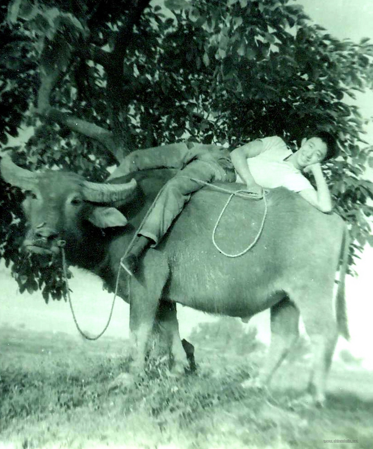 第二集 郑荃制作大师成长史_20170116213829_调整大小.JPG