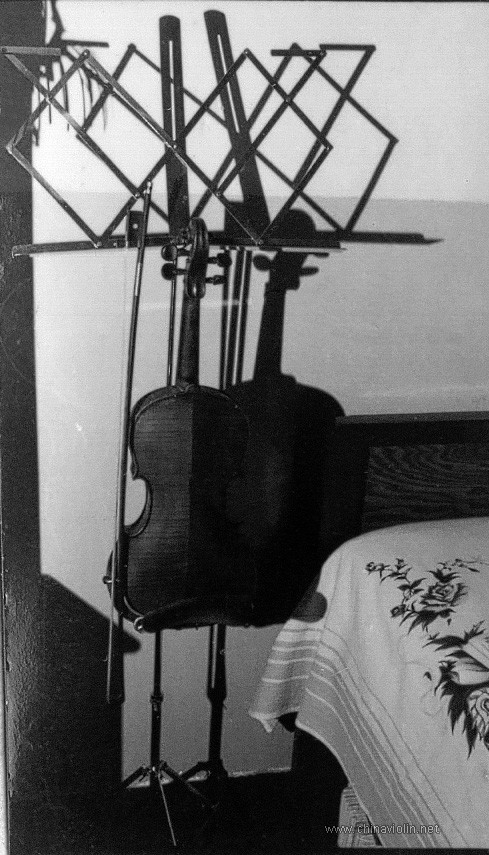 Violin and Shadow.jpg