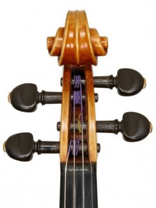 m7-225x300.jpg