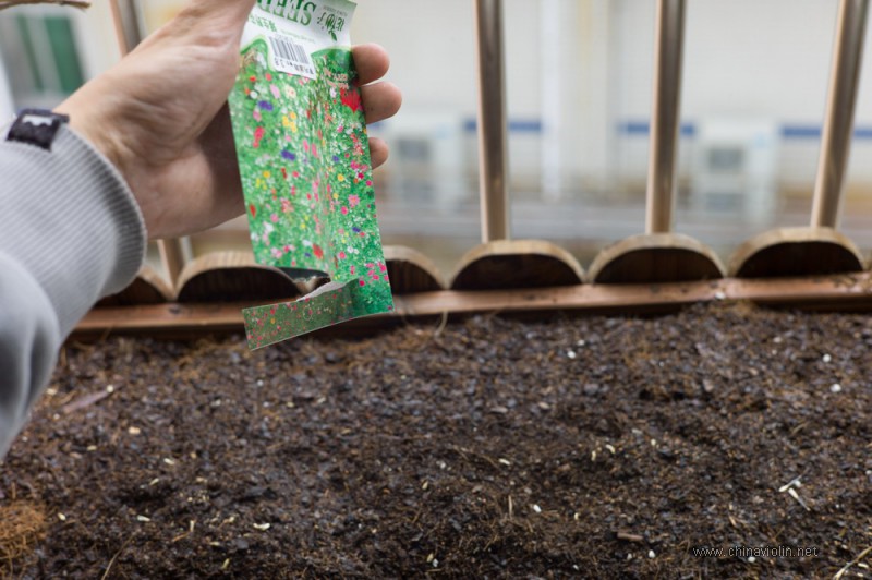 春天是花季，窗台小花园制作笔记