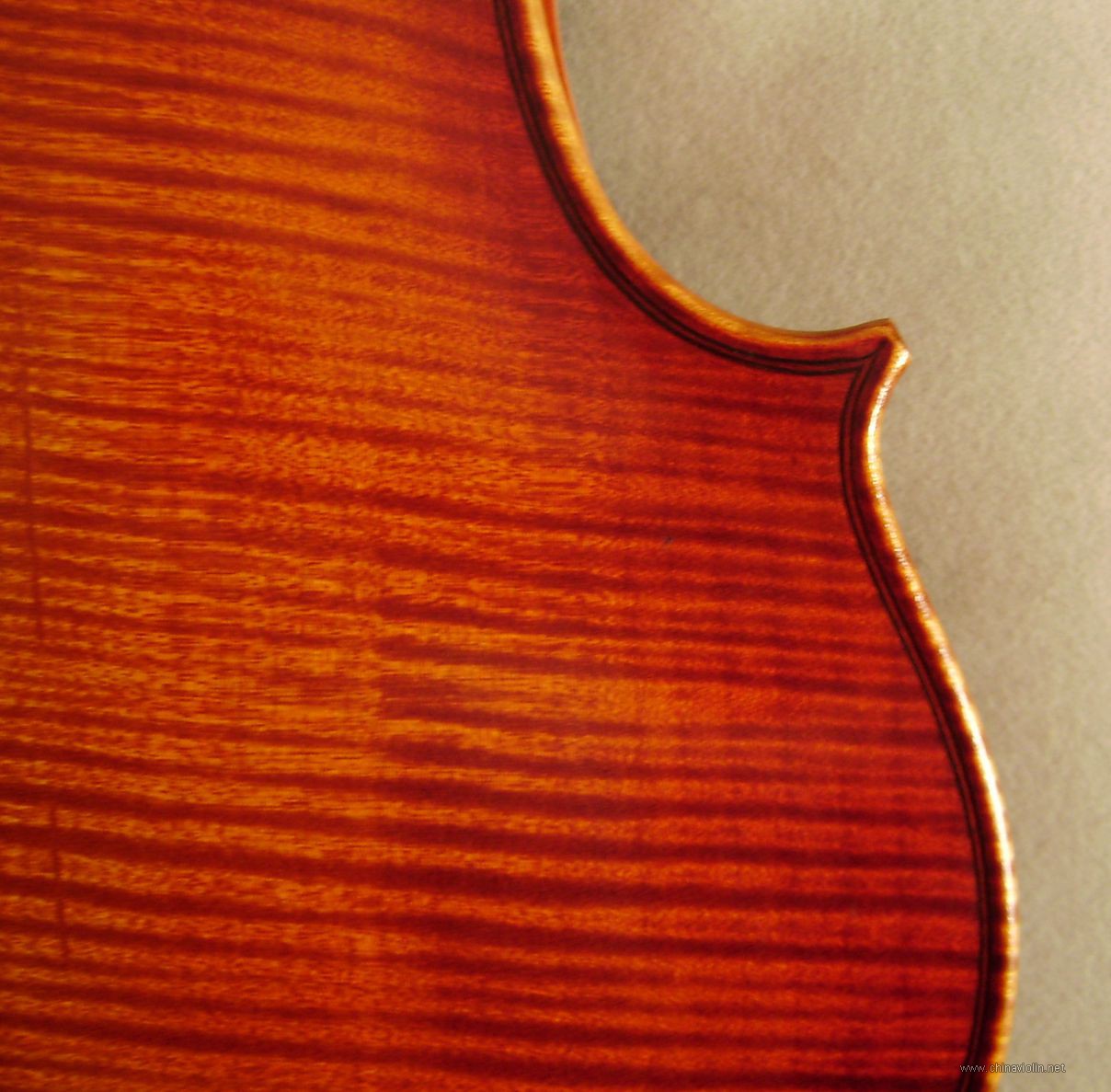 P1010005.JPG