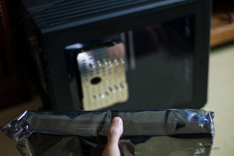 L1005943.jpg