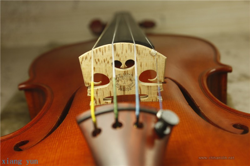 _MG_2474.jpg