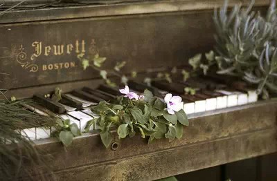 琴友们喜爱的音乐系列——《卡农》