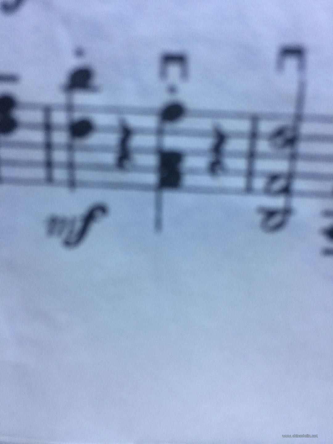 363610492848790108.jpg