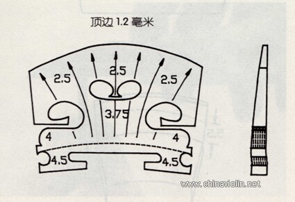 认识小提琴琴码