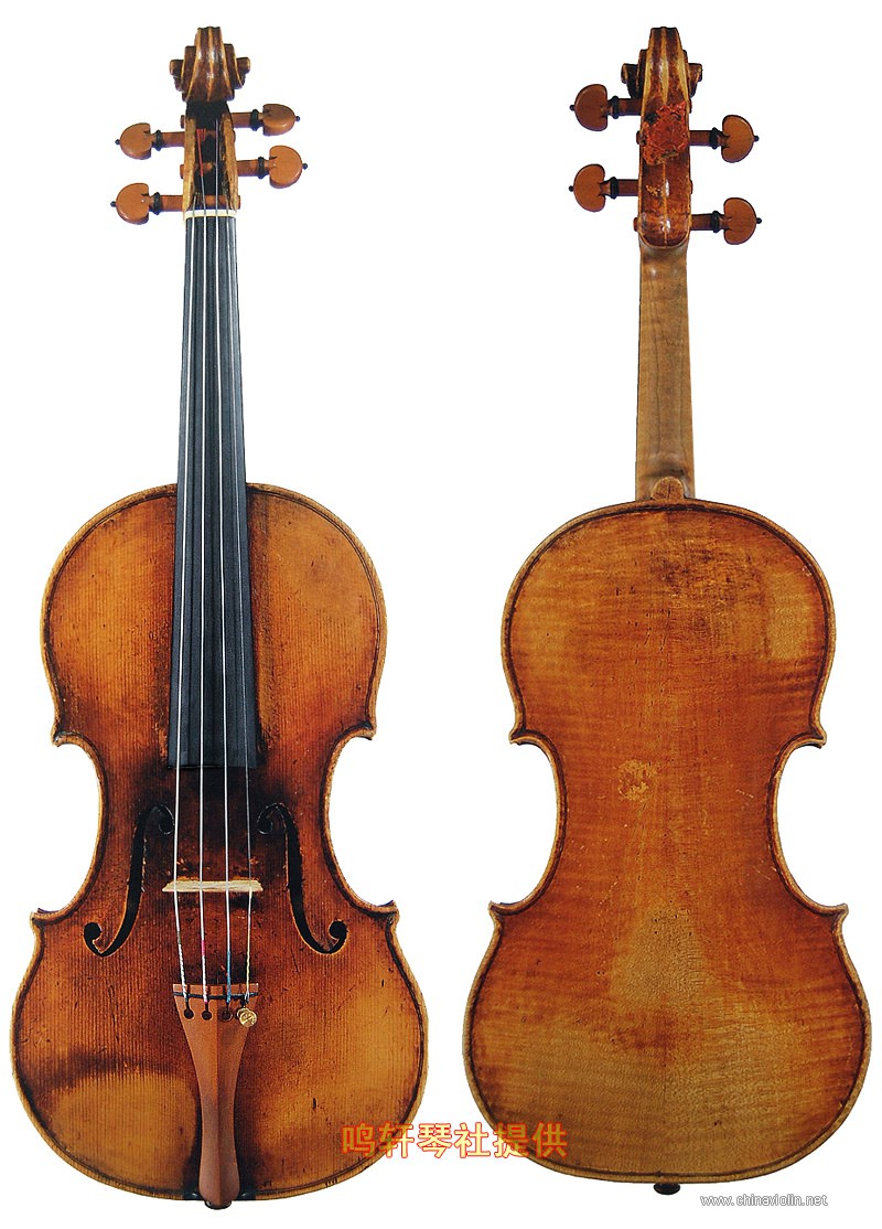 cannon violin1.jpg