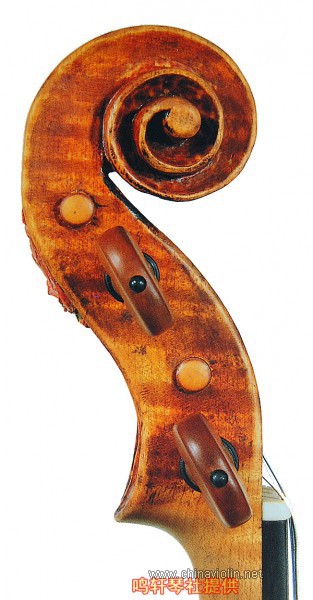 cannon violin6.jpg