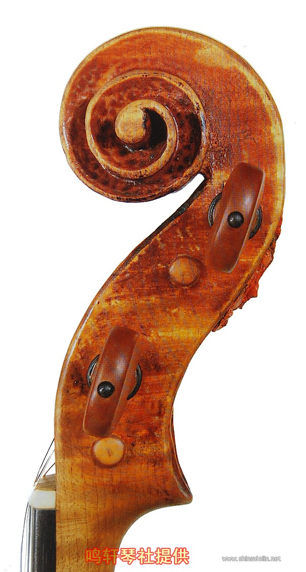 cannon violin7.JPG