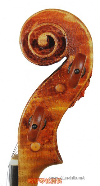 cannon violin7.JPG
