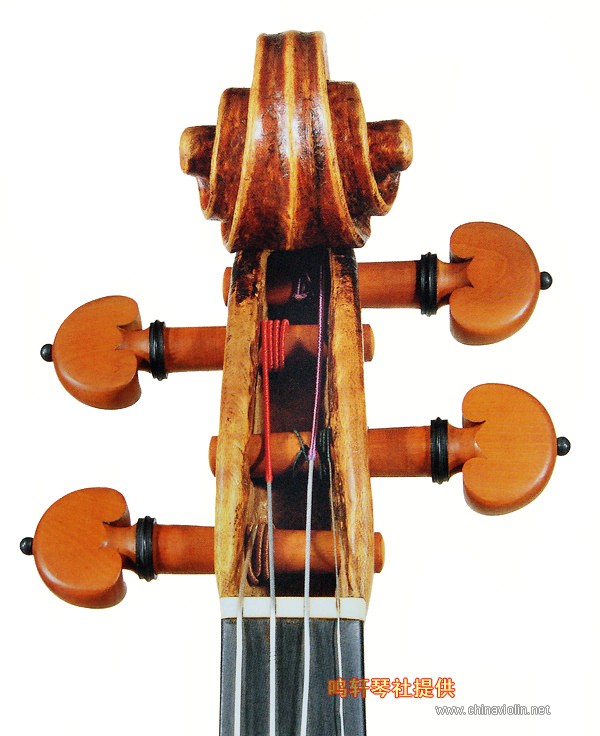 cannon violin8.jpg