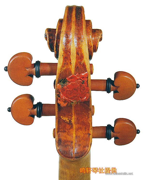 cannon violin9.jpg