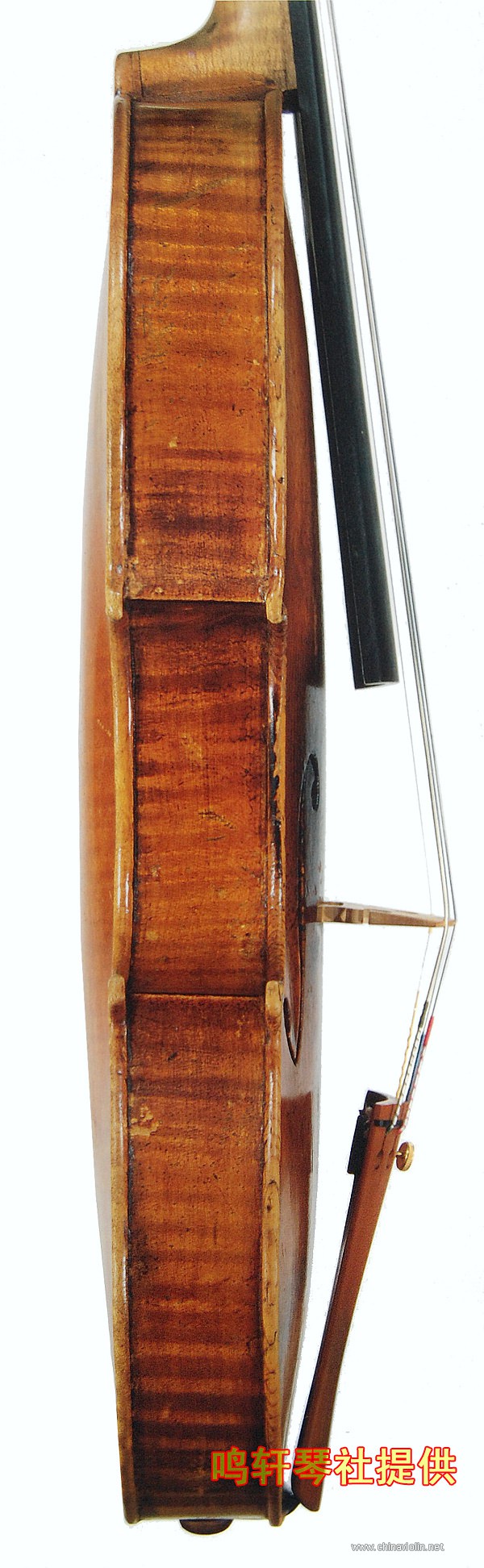 cannon violin4.jpg