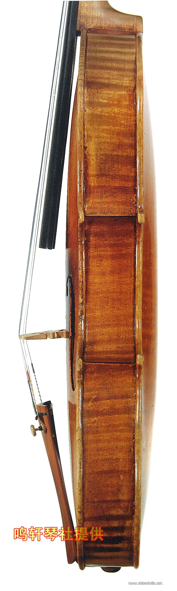 cannon violin5.jpg
