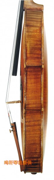 cannon violin5.jpg