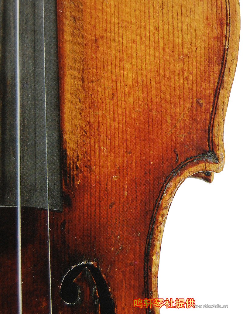 cannon violin11.jpg