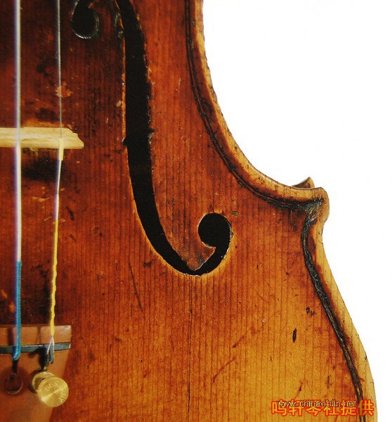 cannon violin10.jpg