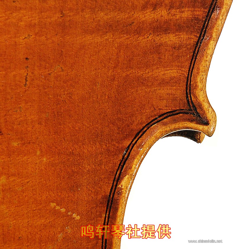 cannon violin13.jpg