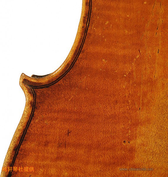 cannon violin12.jpg