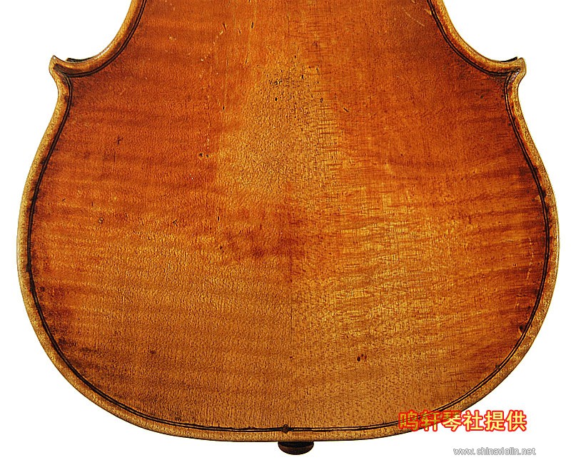 cannon violin14.jpg
