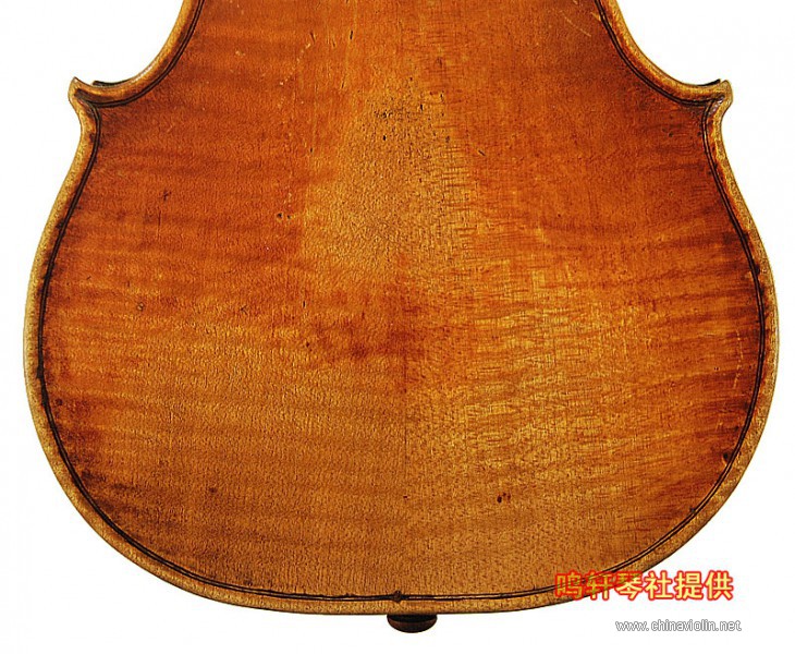cannon violin14.jpg