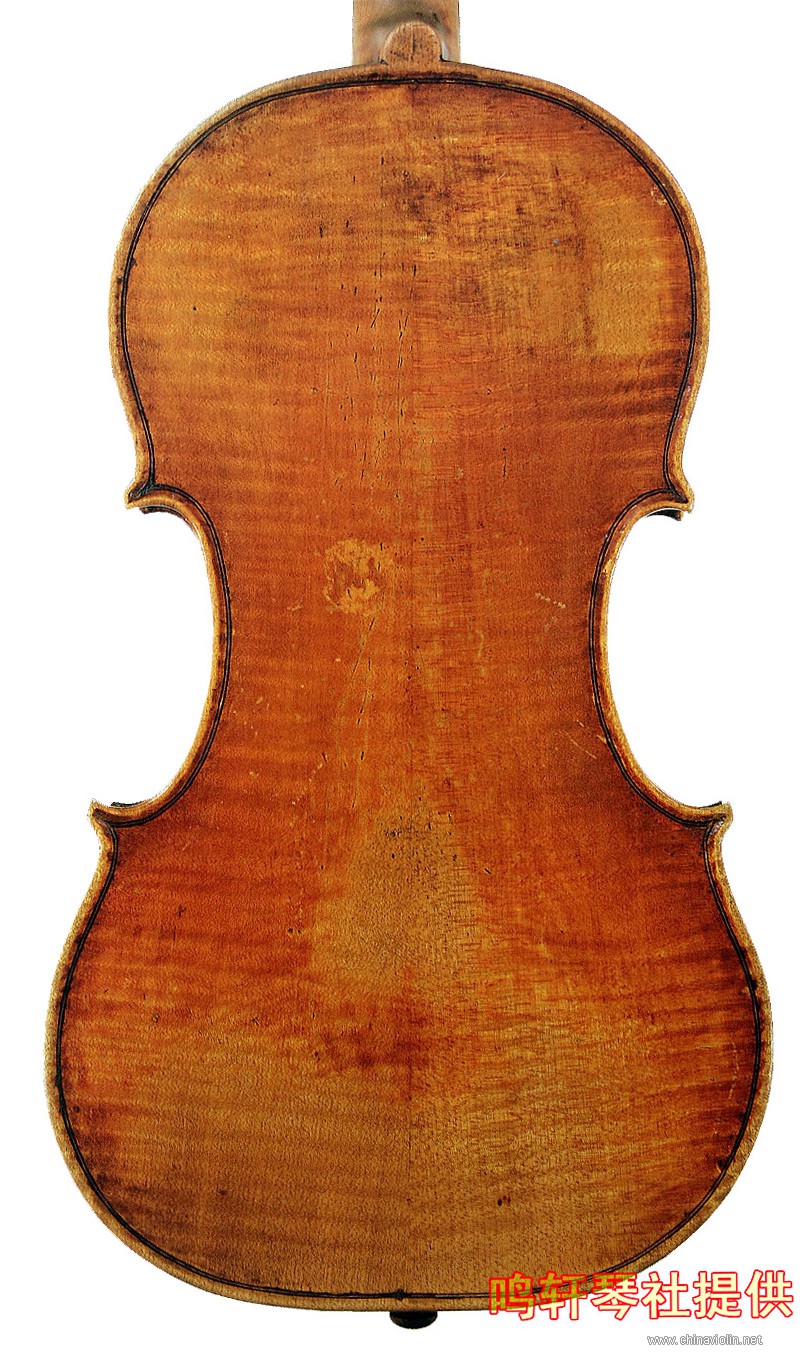 cannon violin3.jpg