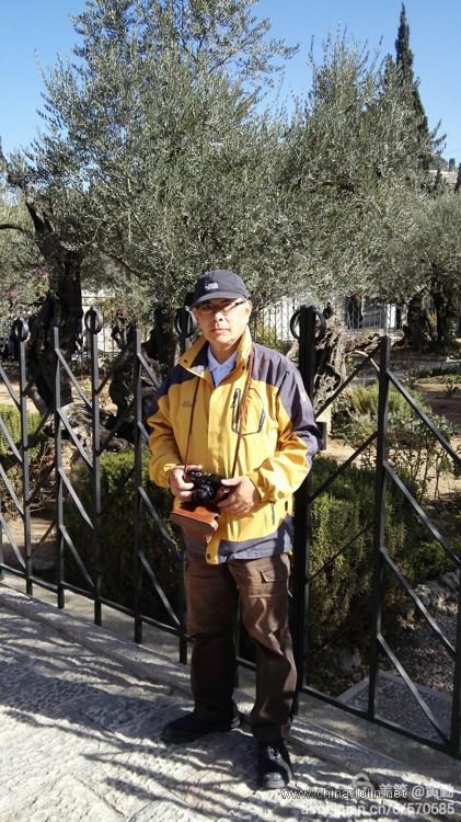 客西馬尼園-耶稣最後一晚作祷告之地